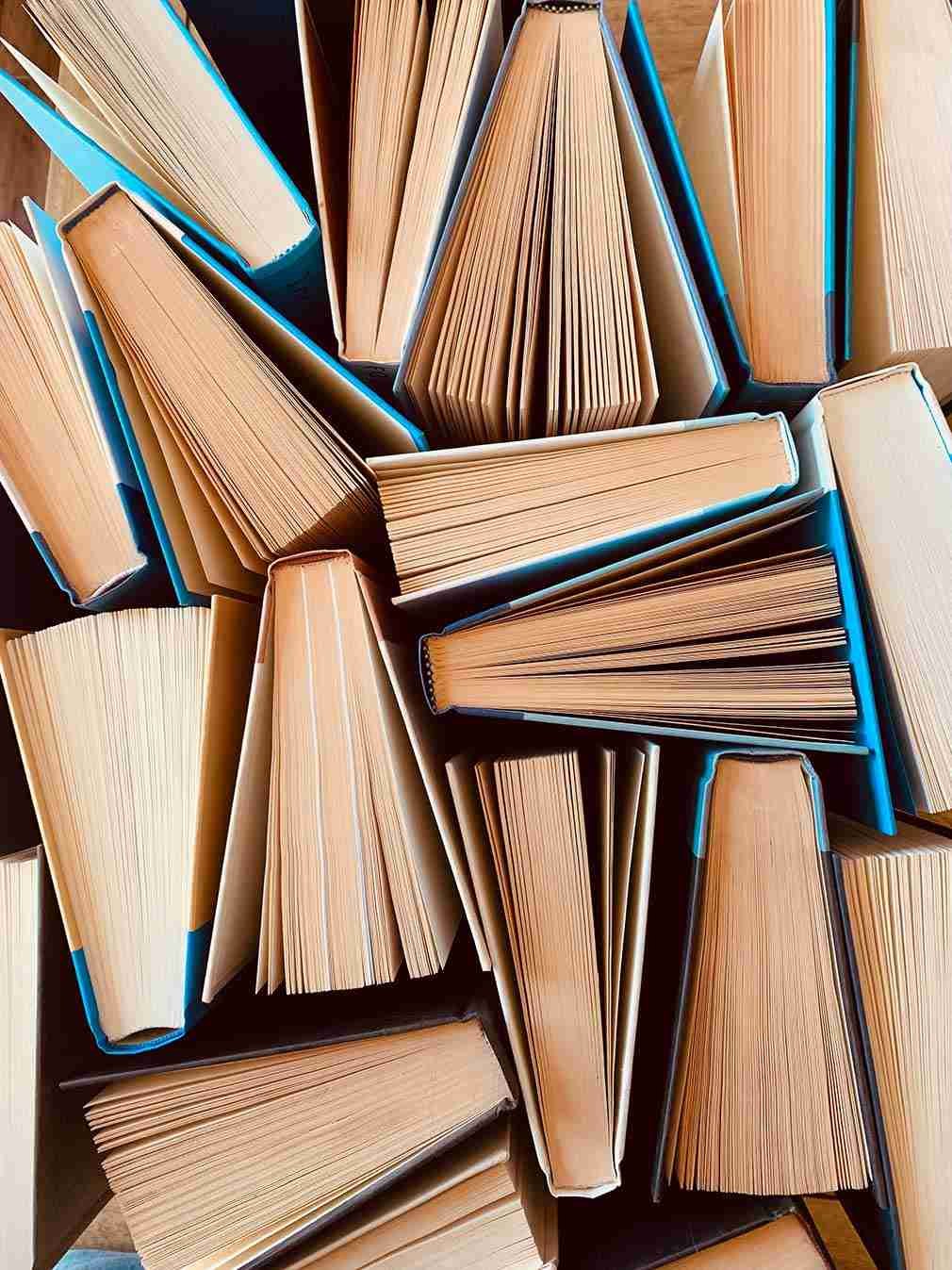 BooksStanding BooksStanding
